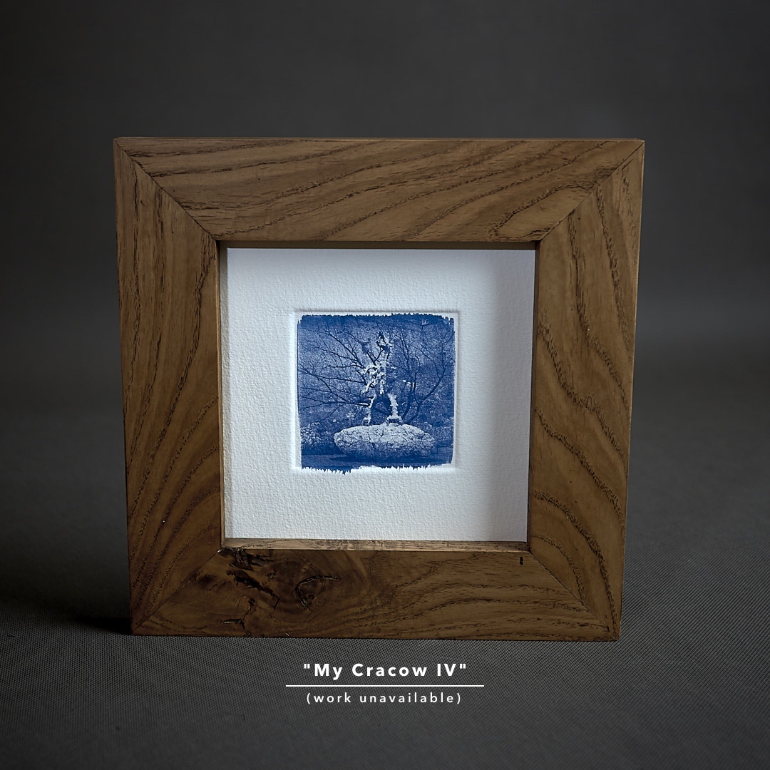 Cyanotype print on Tate paper in oak frame.