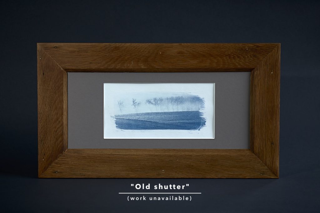 Cyanotype print on Canson paper in reclaimed wood frame.
