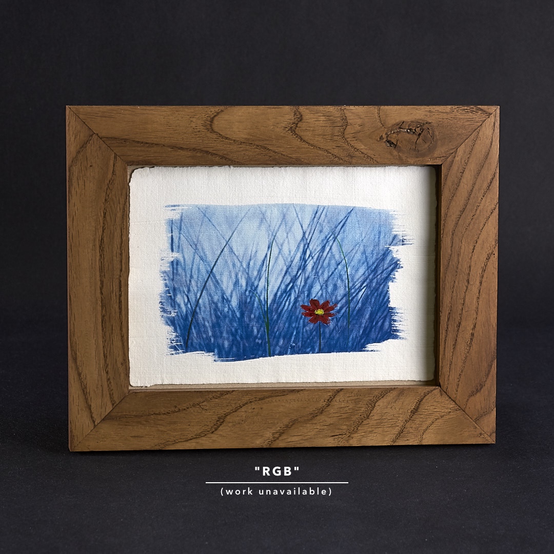 Cyanotype print on hand-made paper in oak frame.